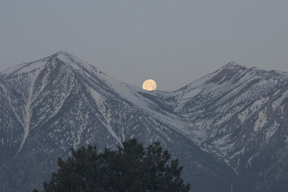 An early morning photo of a moon setting between two mountains peaks. There is a tree in the foreground.